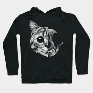 Schrödinger's cat Hoodie